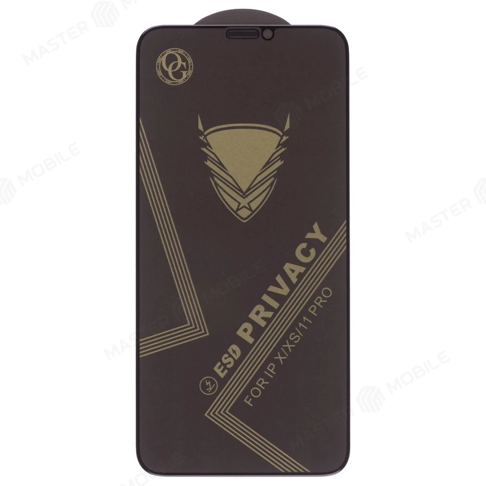 Защитное стекло 3D для Apple iPhone X / iPhone Xs / iPhone 11 Pro (антишпион) (черный) 